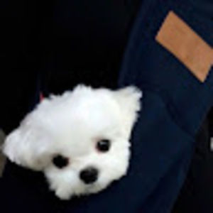 Meet your Posher, Mary